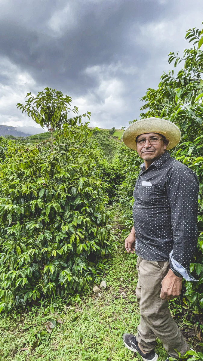 Abel Salinas - Ecuador (Extra-Light) - Image 3