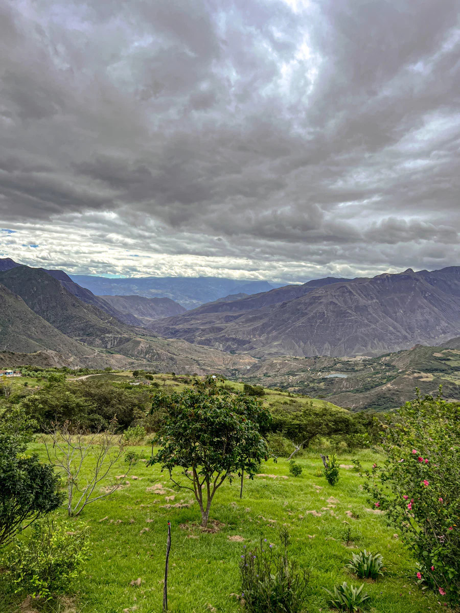 Abel Salinas - Ecuador (Extra-Light) - Image 2