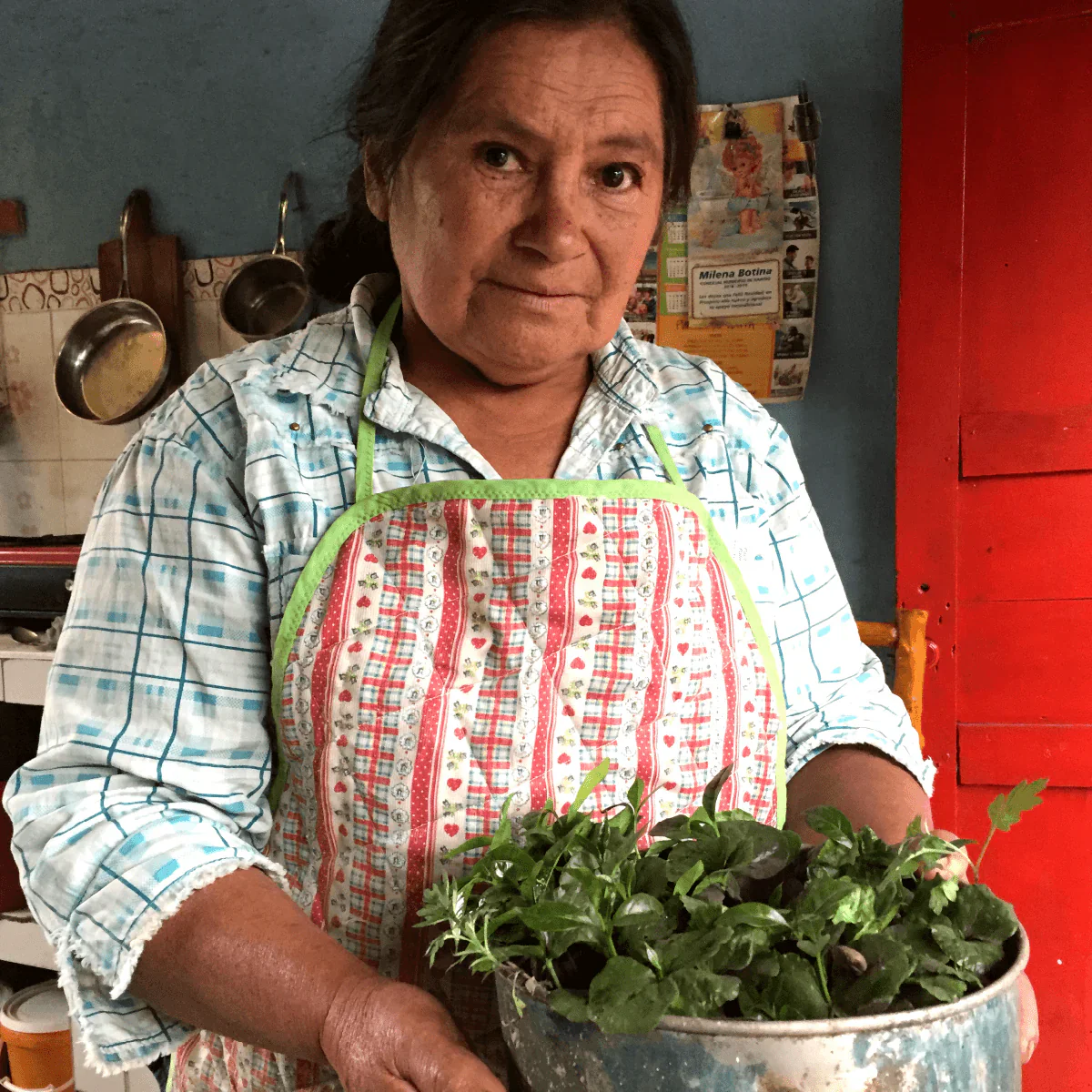 Amparo Botina - Colombia Caturra - Image 2