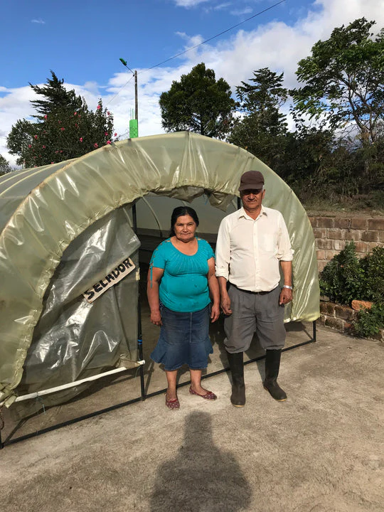 Amparo Botina - Colombia Caturra - Image 3