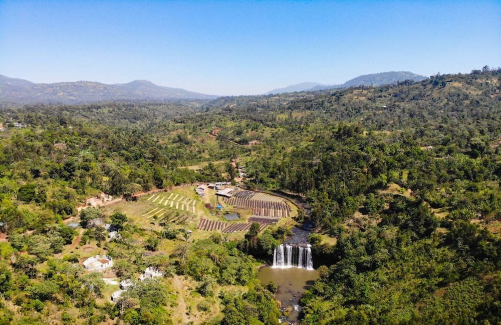 Bookkisa - Ethiopia - Image 2