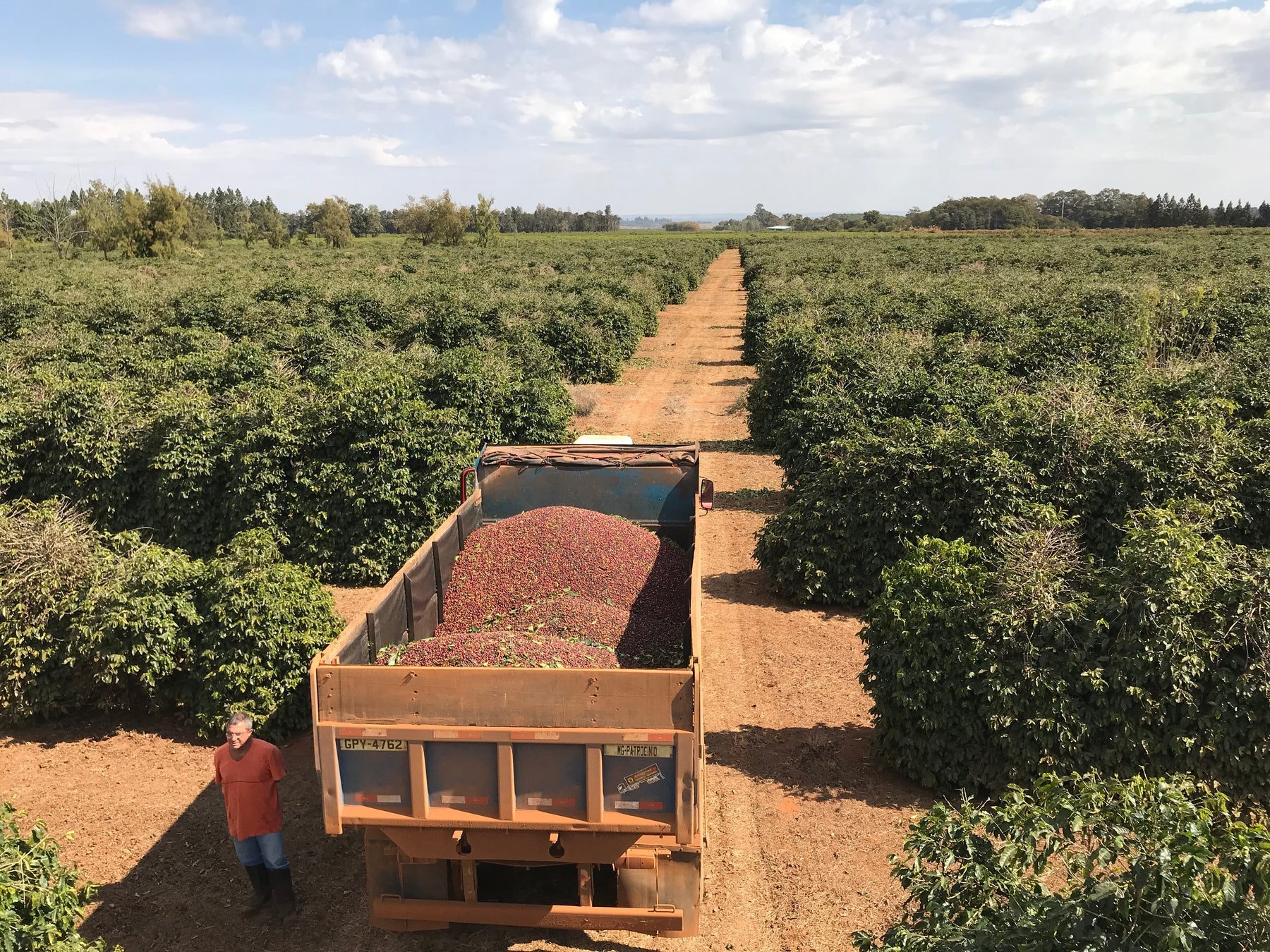 Daterra Stardust - Brazil Espresso - Image 2