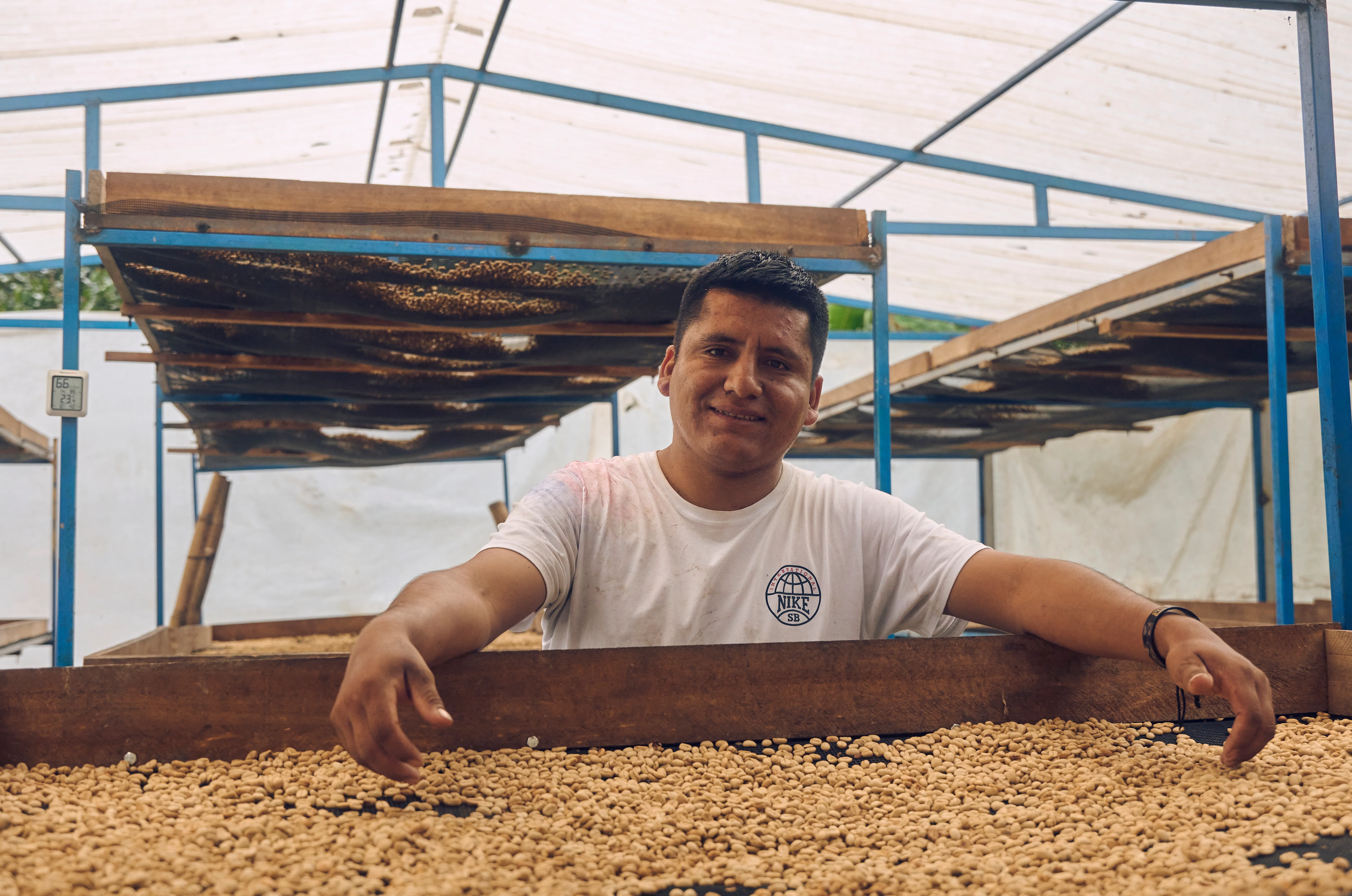 David Flores - Washed Sidra (March 24th Roast) - Image 2