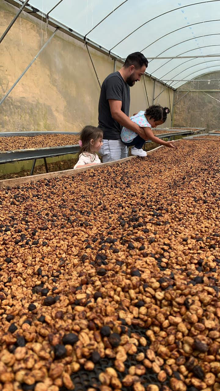 Don Mariano - Costa Rica SL28 & Geisha - Image 3