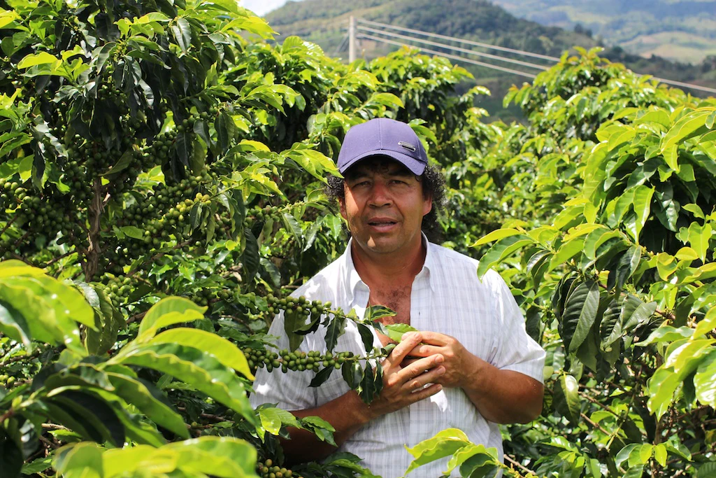 Finca Tamana - Elias Roa - Image 2