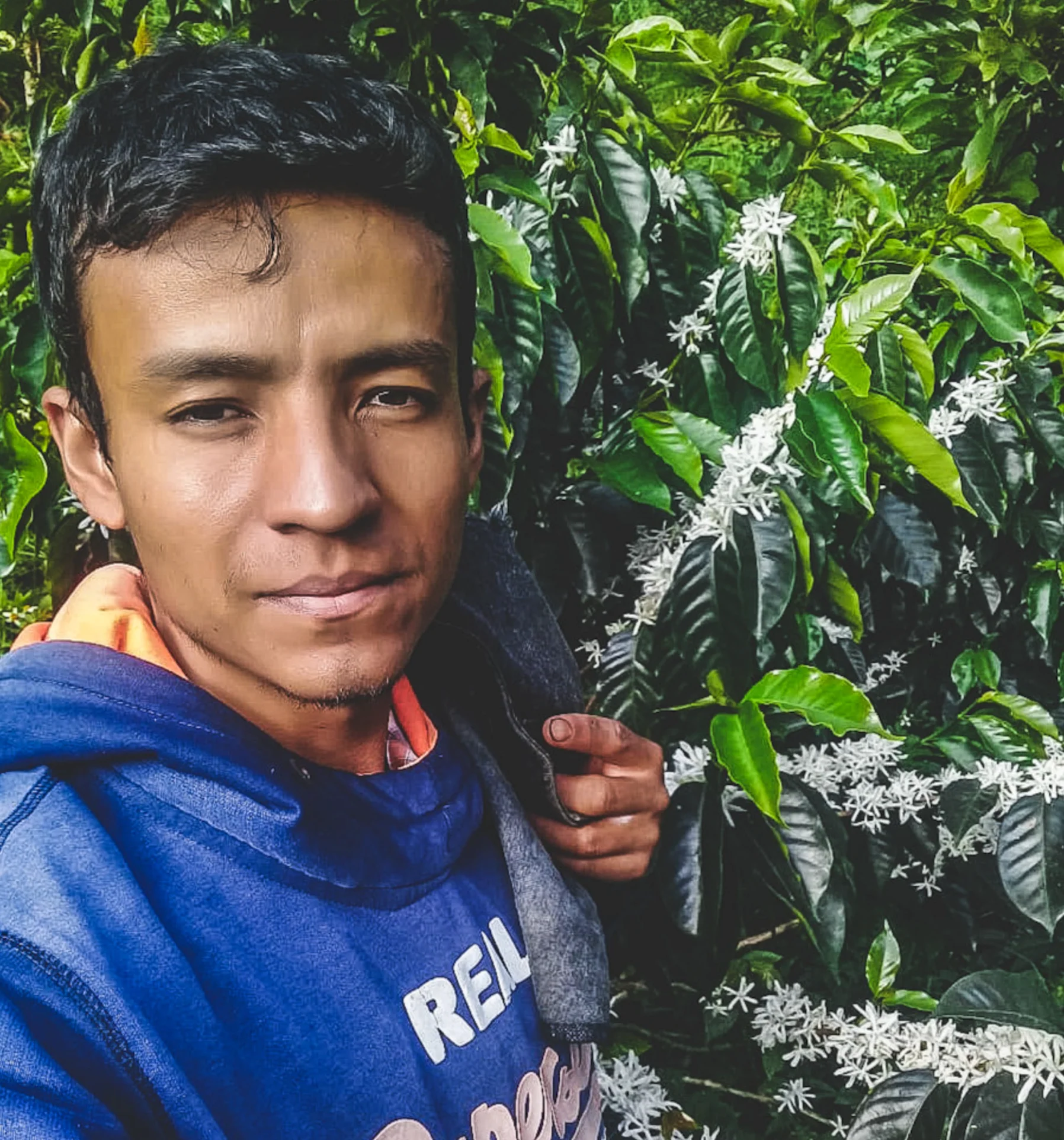 Erick Bravo  - Colombia Pink Bourbon - Image 3