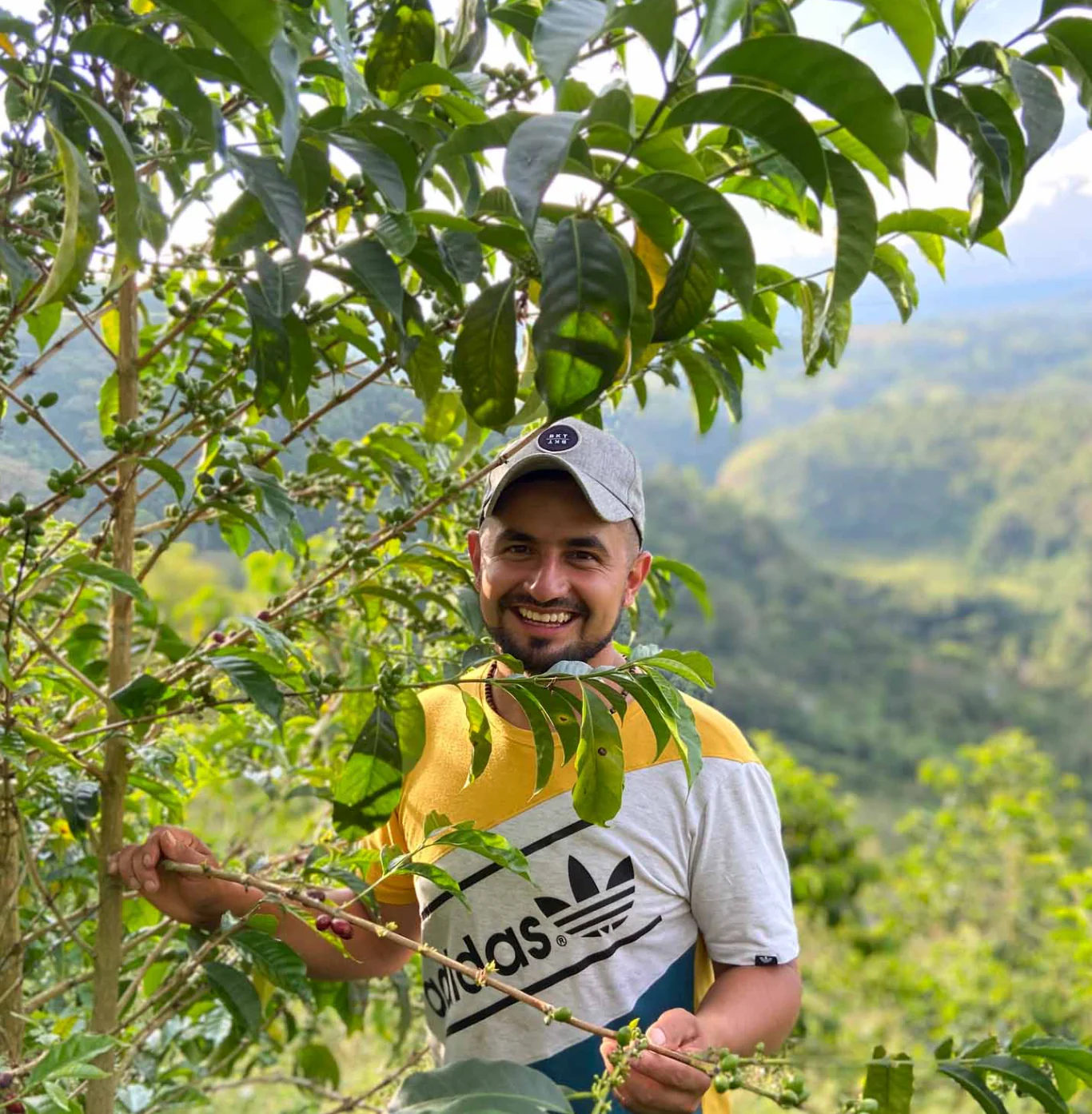 Esnaider Ortega - Colombia Sidra - Image 2