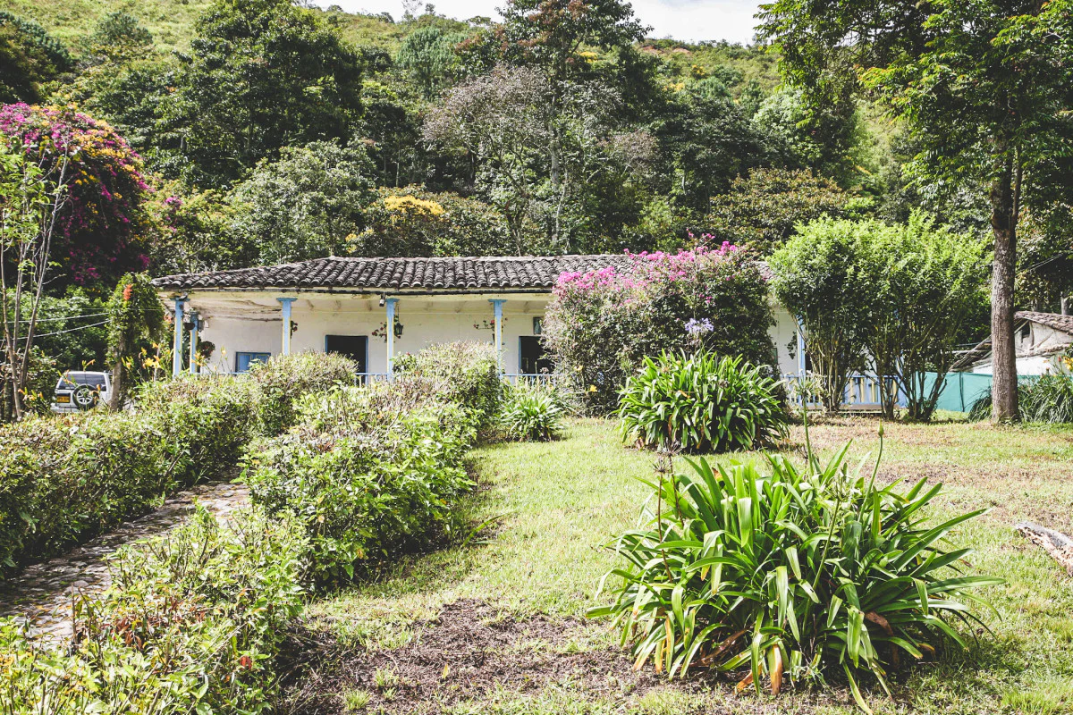 Finca La Concepción - Colombia - Image 2