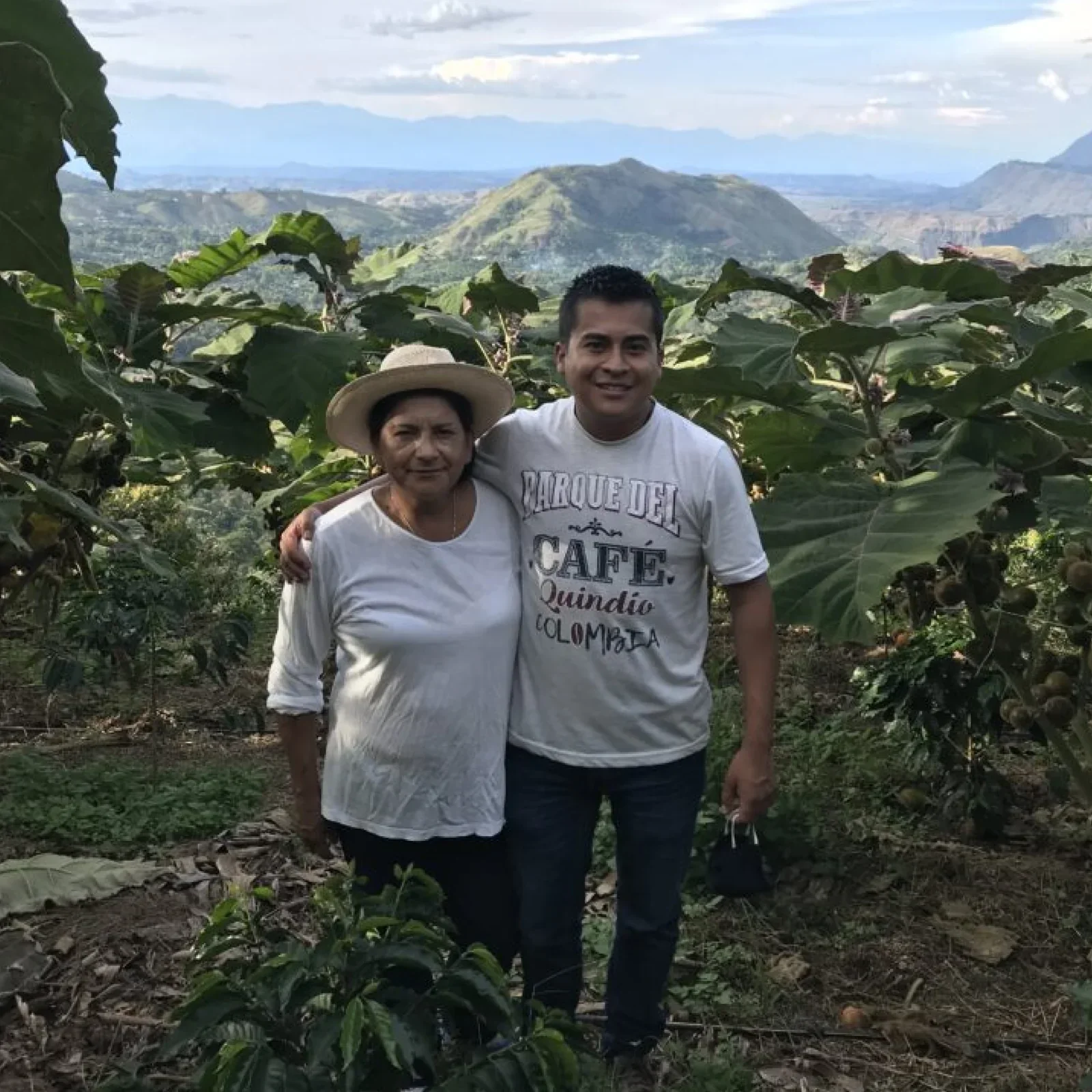 Frank Torres - Colombia Sidra - Image 3
