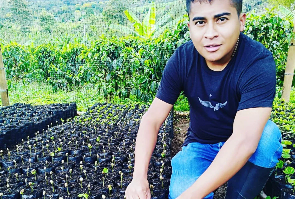 Frank Torres - Colombia Sidra - Image 4