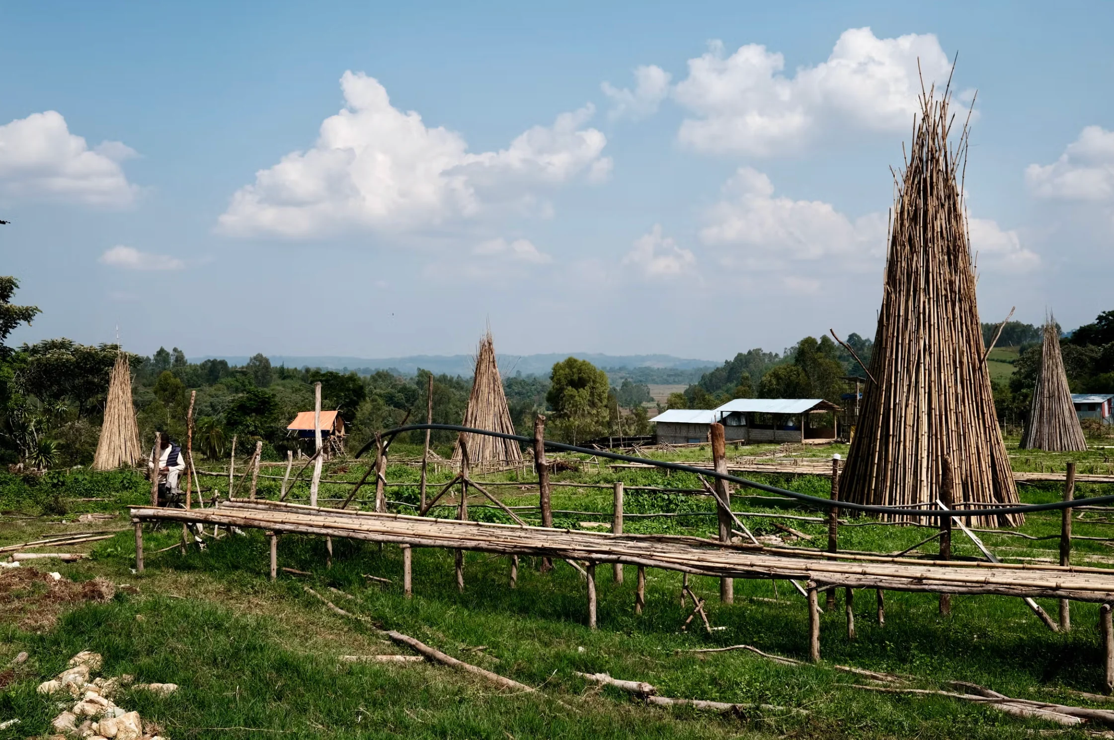 Wanja Kersa - Ethiopia - Image 2