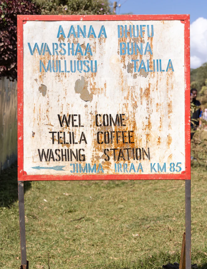 Genji Challa - Ethiopia - Image 4