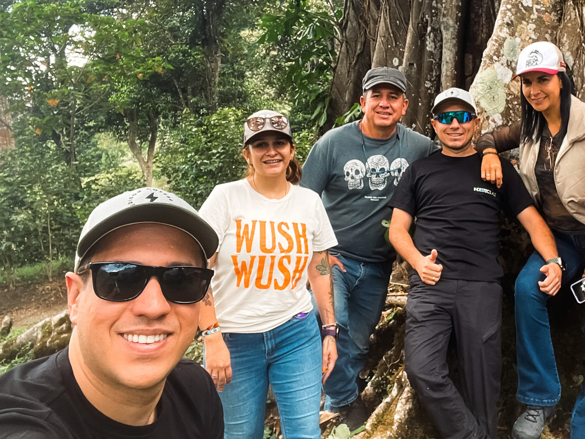 Hachi Kaizen - Colombia - Image 2