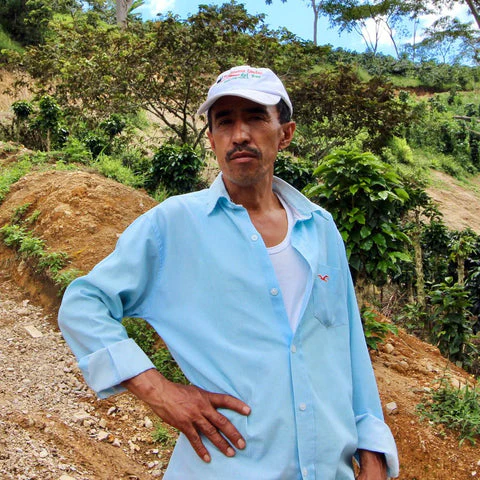 Jose Martinez - Colombia Caturra - Image 3