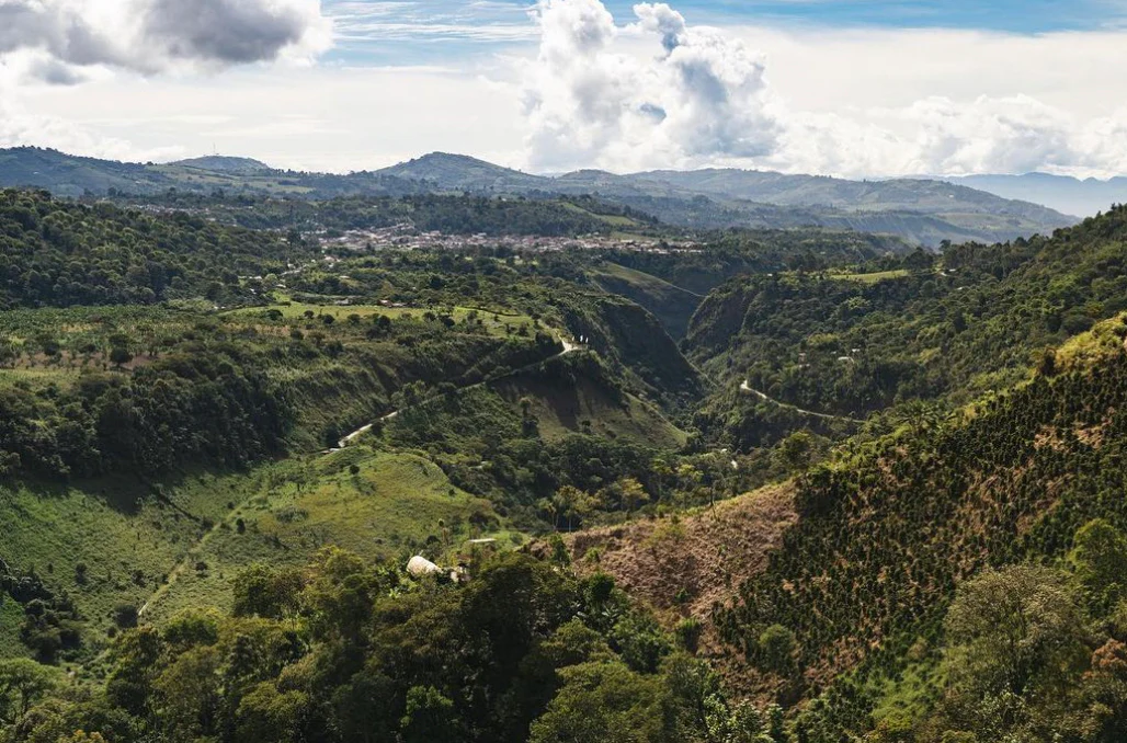 La Muralla - Colombia - Image 2