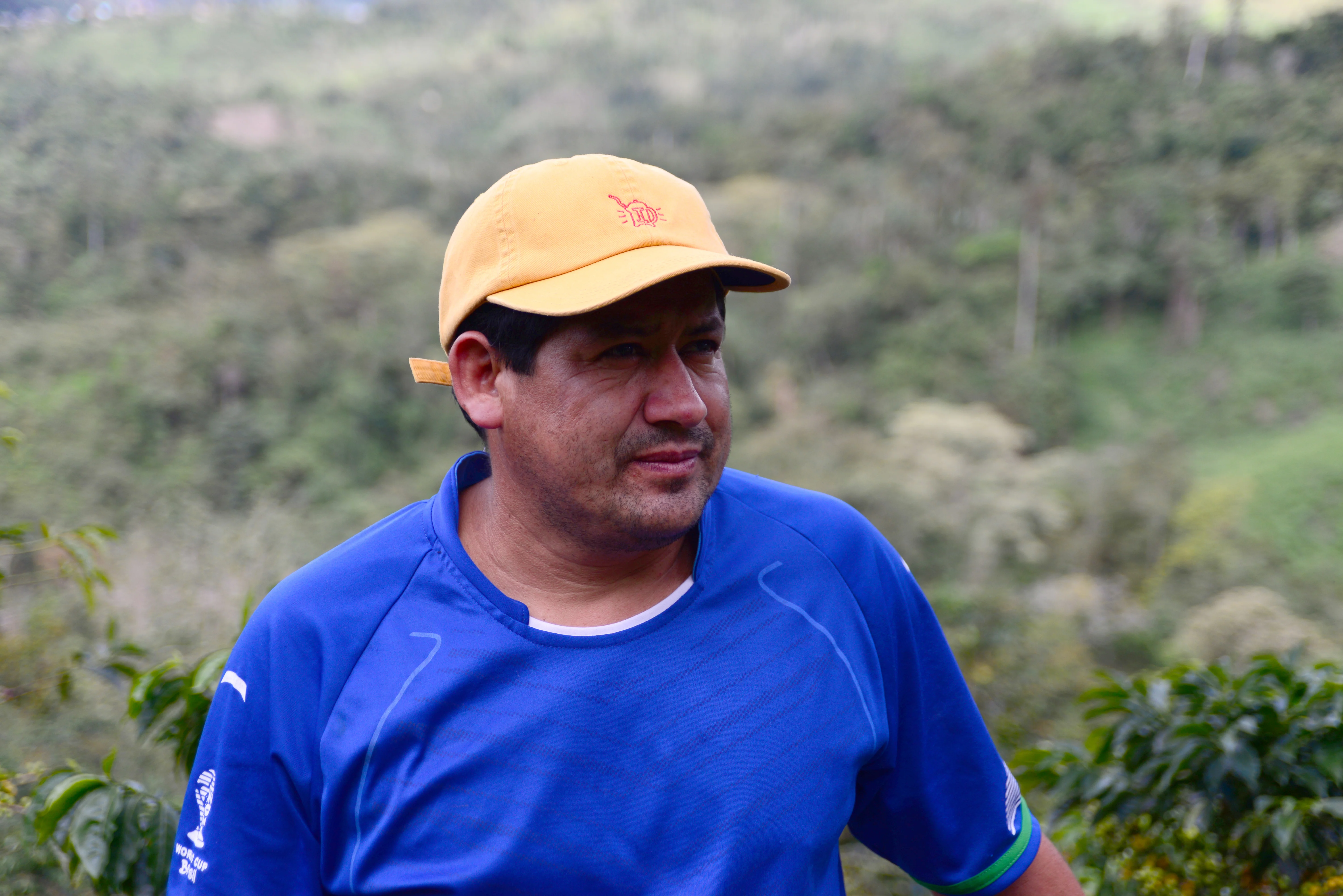 Percy Pintado - Peru 2025 (extra-light) - Image 2
